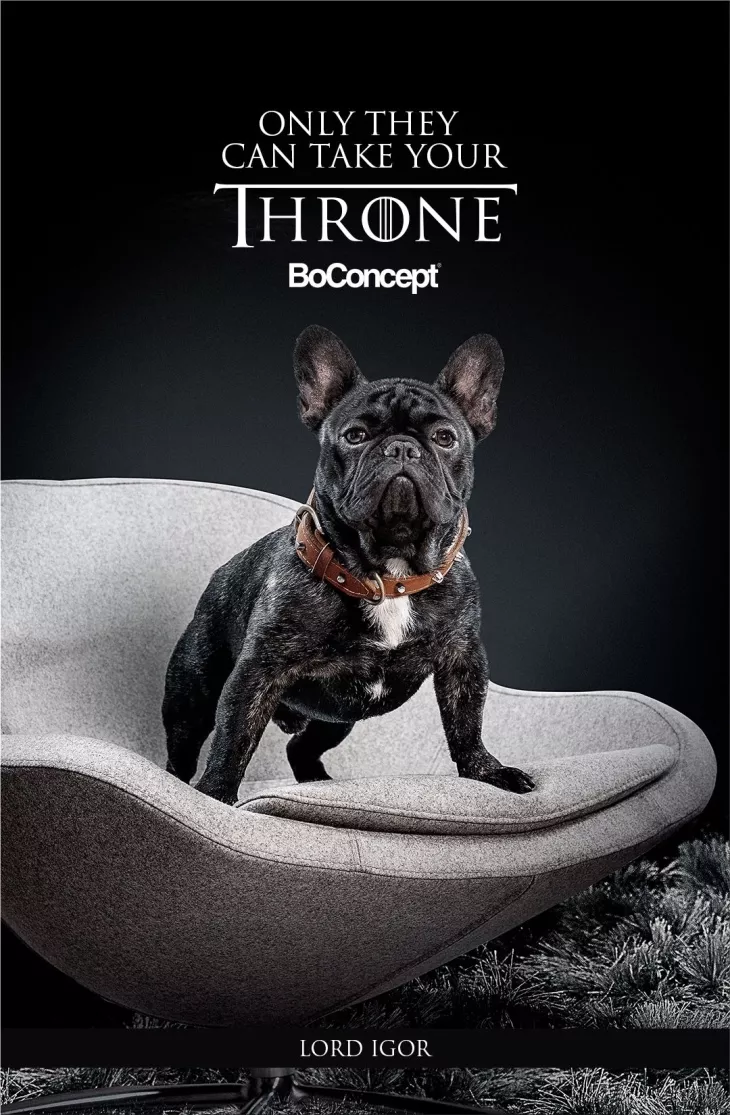 BoConcept "Only They Can Take Your Throne" by Mass Digital