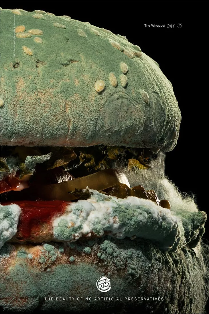Burger King "The Moldy Whopper" #NoArtificialPreservatives