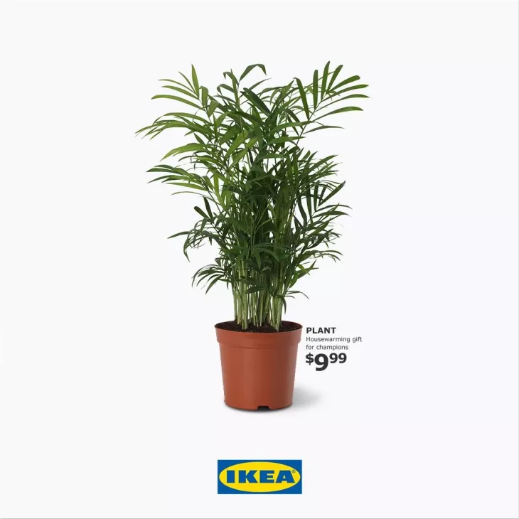 IKEA "gift for champions"