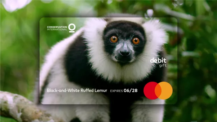 MasterCard "Expiration date" by McCann