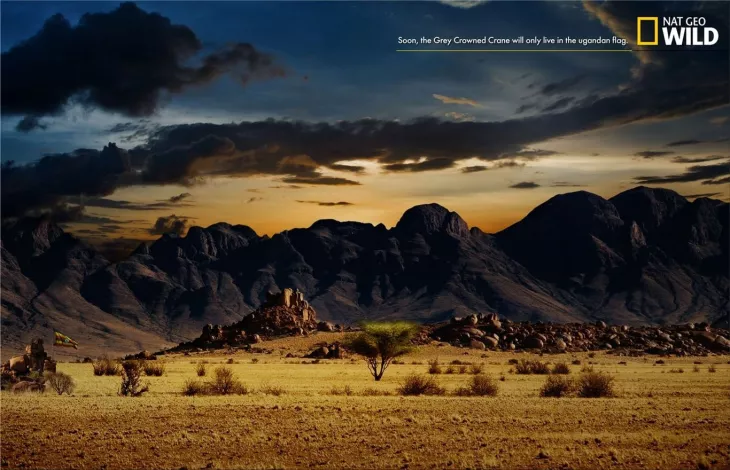 National Geographic print ads
