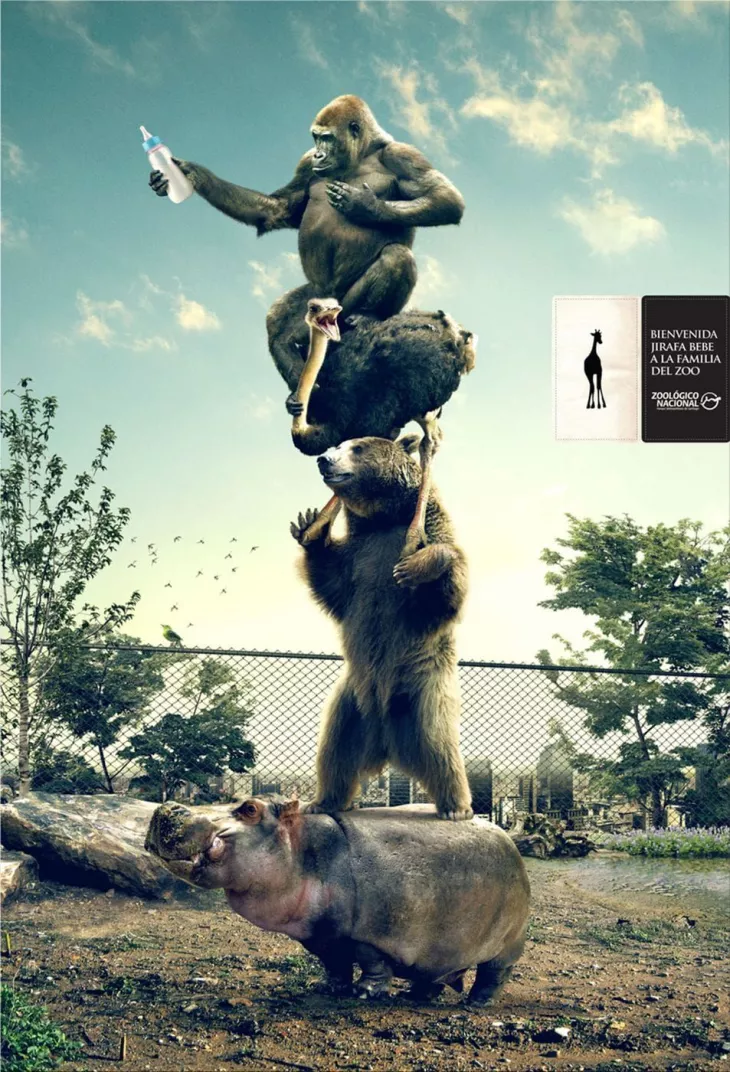 National Zoo ads