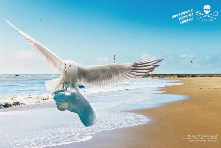Sea Shepherd print ads