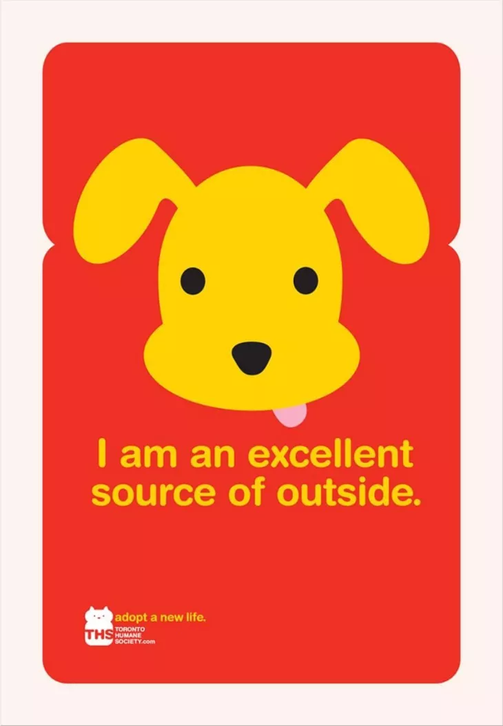 Toronto Humane Society print ads