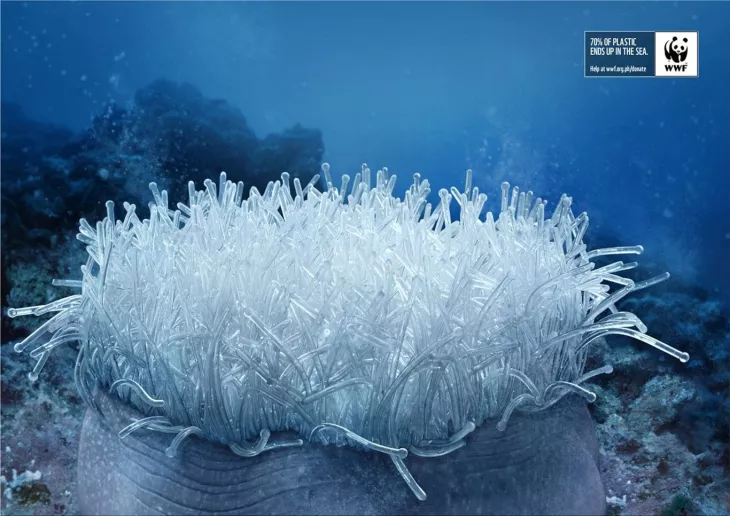 WWF Marine Protection Campaign print ads