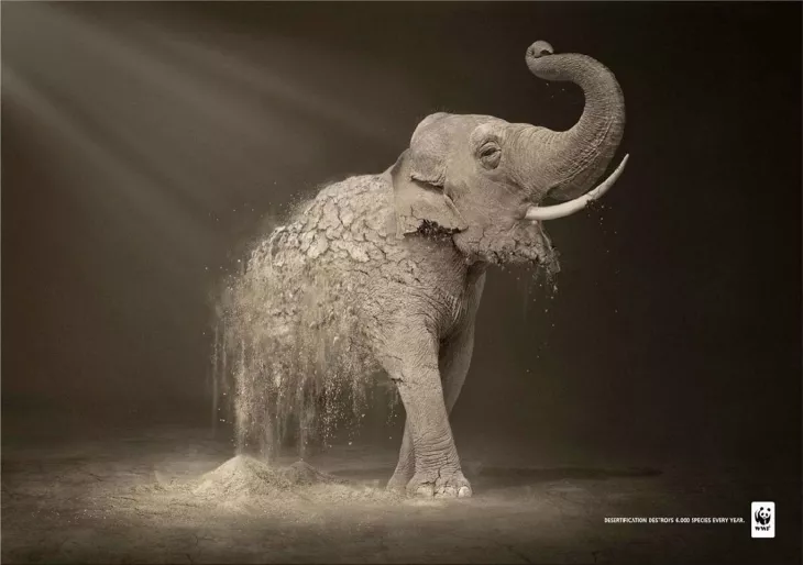WWF print ads