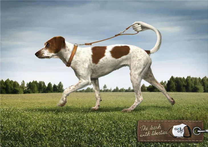 dog ads