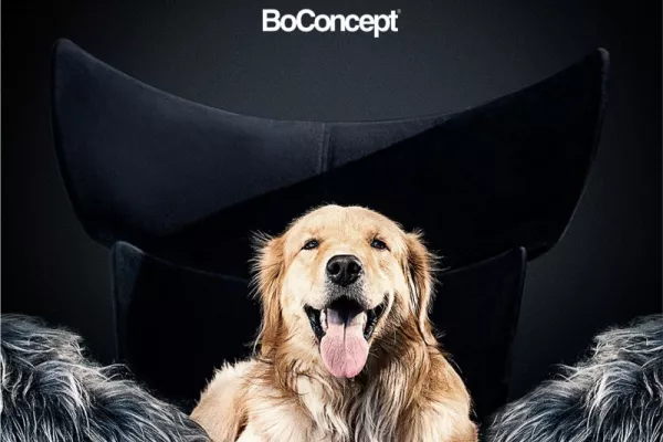 BoConcept "Only They Can Take Your Throne" by Mass Digital