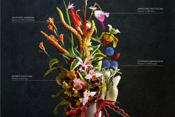 Land Rover: "This bouquet is for you" by Spark44