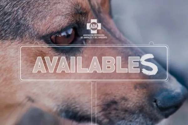 ADA: "Availables" by BBDO