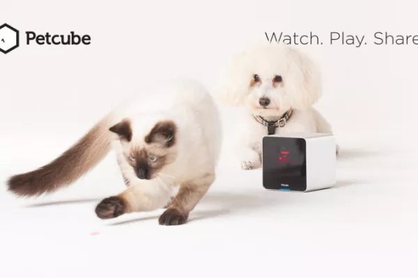 Petcube: Stay connected to your pets when you are not at home