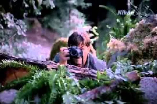 Nikon: Tree