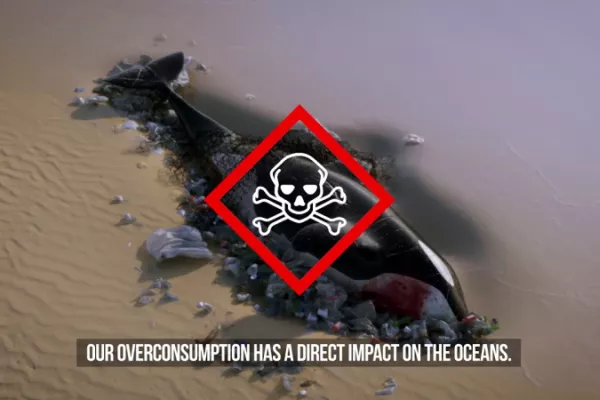 Sea Shepherd "Operation Ocean"