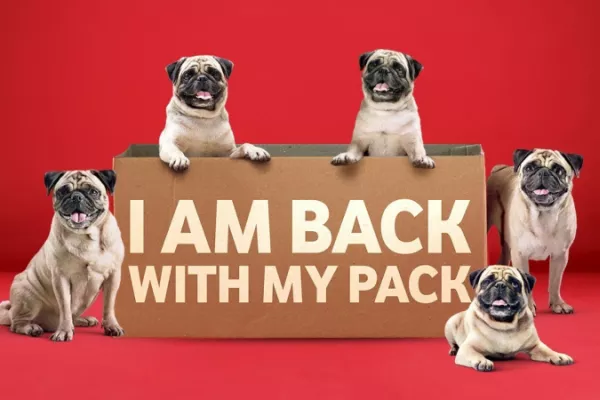 Vodafone - Pugs are back!