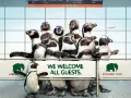 Zoo Cologne ads