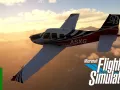 Microsoft Flight Simulator campaign &quot;Why I Fly,&quot;